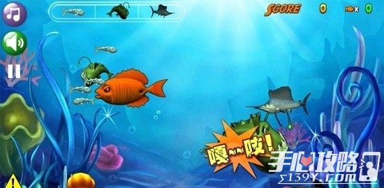大白鲨的游戏_白鲨下载_白鲨游戏解说