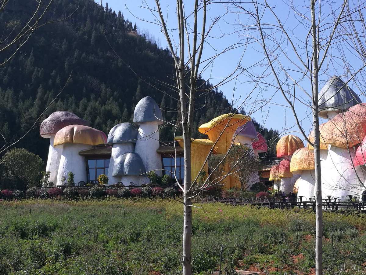 娃石集团_娃石水泥_石娃