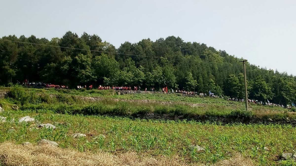 星露谷物语韭葱有啥用_星露谷物语韭葱位置_星露谷物语韭葱在哪