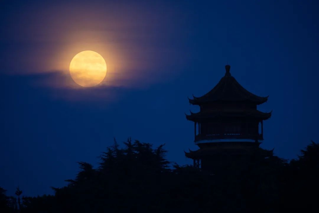 明月天涯录_天涯明月录仙级配方_天涯明月录冲榜活动