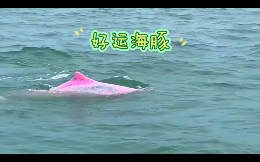 我的世界海洋之心有什么用_我的世界海洋之心有什么用_我的世界海洋之心有什么用