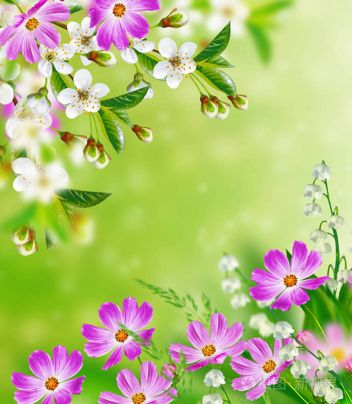 花粉图片大全高清_花粉图片_花粉图案