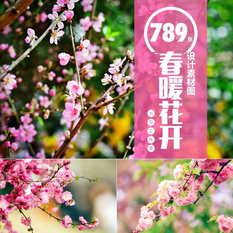 花粉图片_花粉图案_花粉图片大全高清