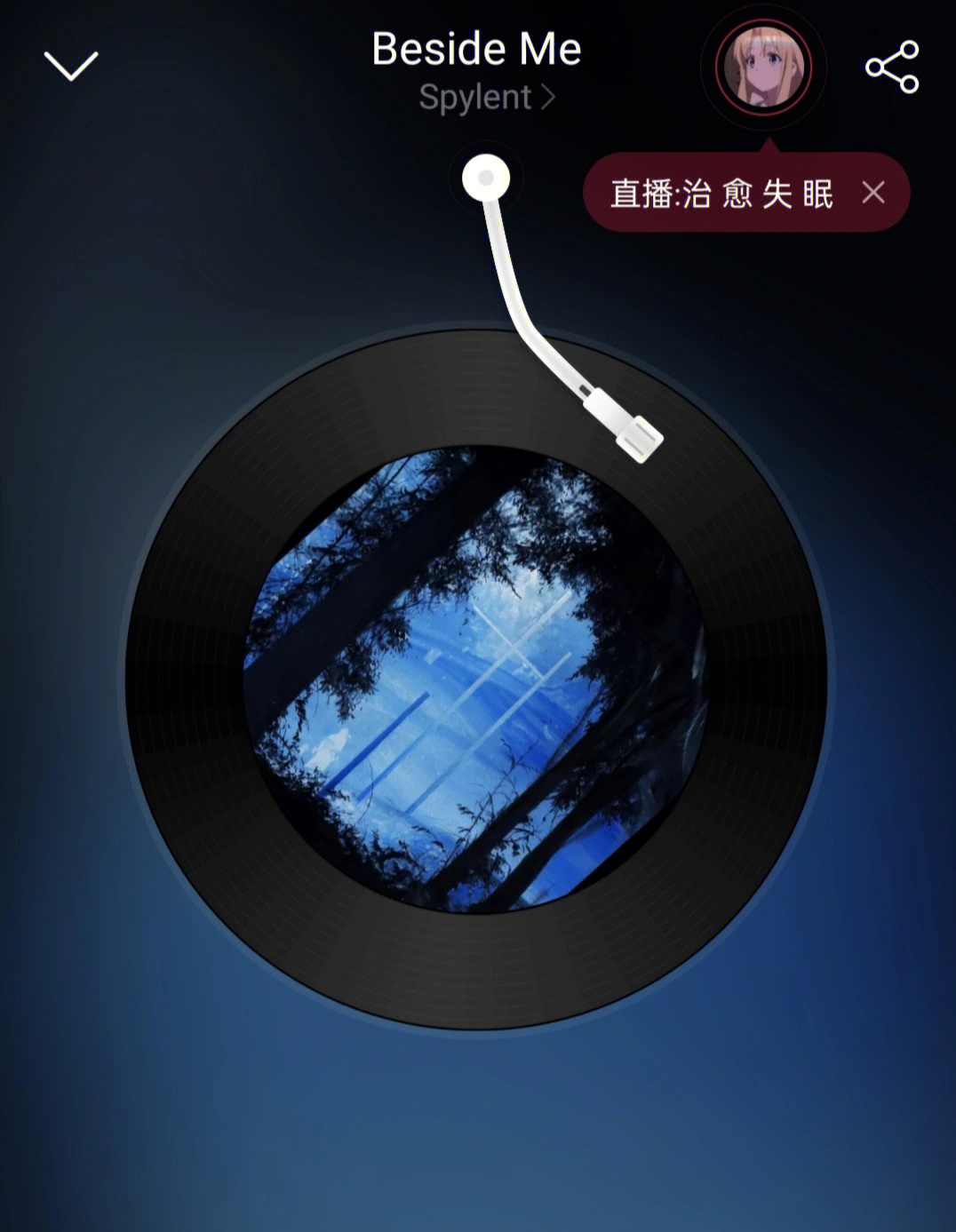 狂撕歌：激情应用，畅享无限下载