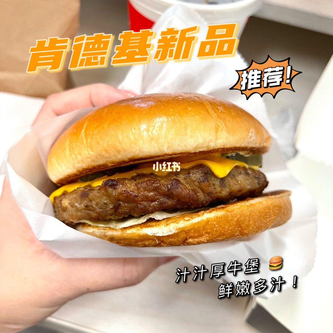 肯牛_肯特国际学校_肯特瑞小金库网银平台