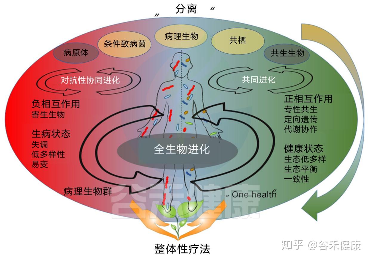 真菌世界ios下载_真菌世界汉化版_真菌世界