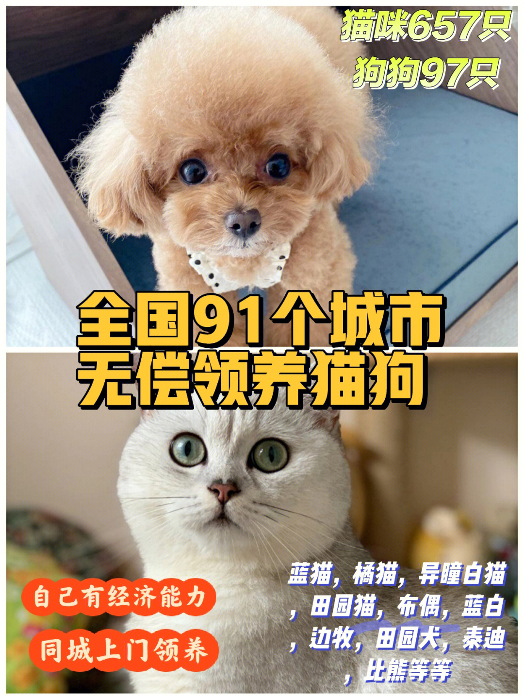 哪些宠物破茧重生厉害_哪些宠物破茧重生厉害_哪些宠物破茧重生厉害
