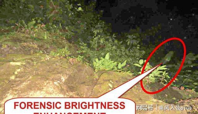 太溪穴和照海穴_蛇穴_少泽穴足三里穴乳根穴