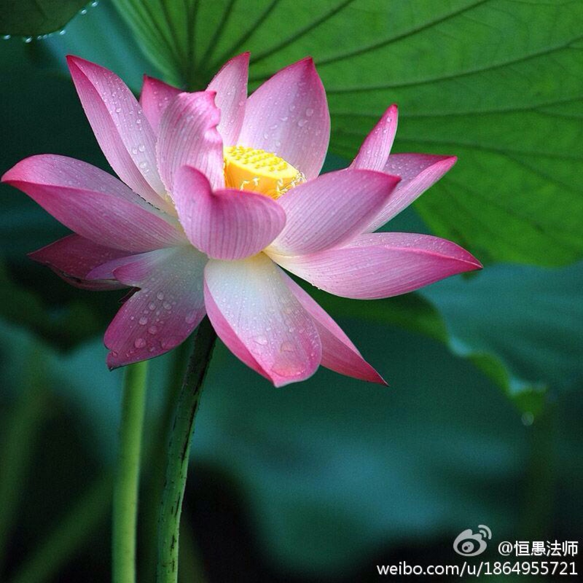 氤氲之息_氤氲之息_氤氲之息