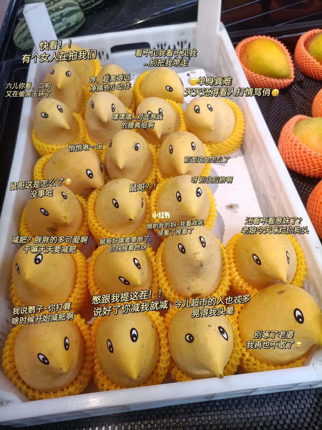 黄色芒果视频_黄色芒果视频_黄色芒果视频