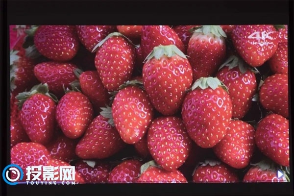 绿色守护导航app_草莓视频app下载导视_草莓视频app导航