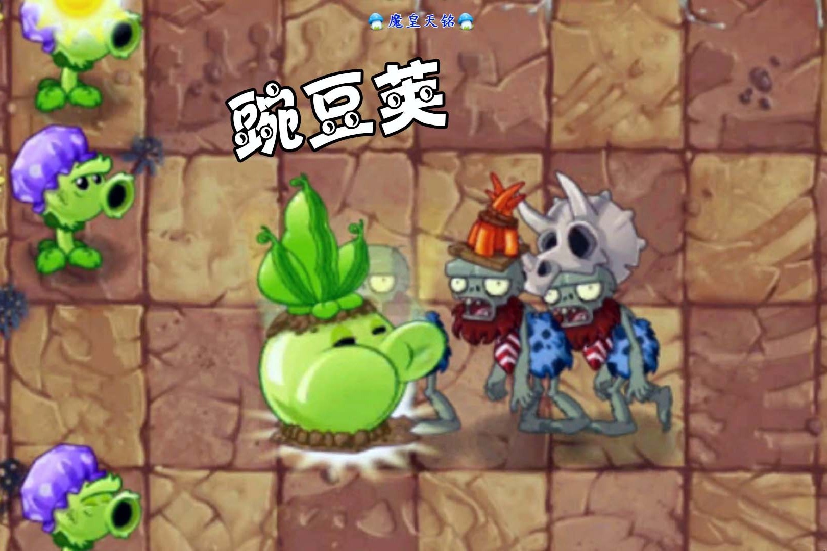 豌豆荚下载最新版_豌豆荚官网下载安卓_豌豆荚官方