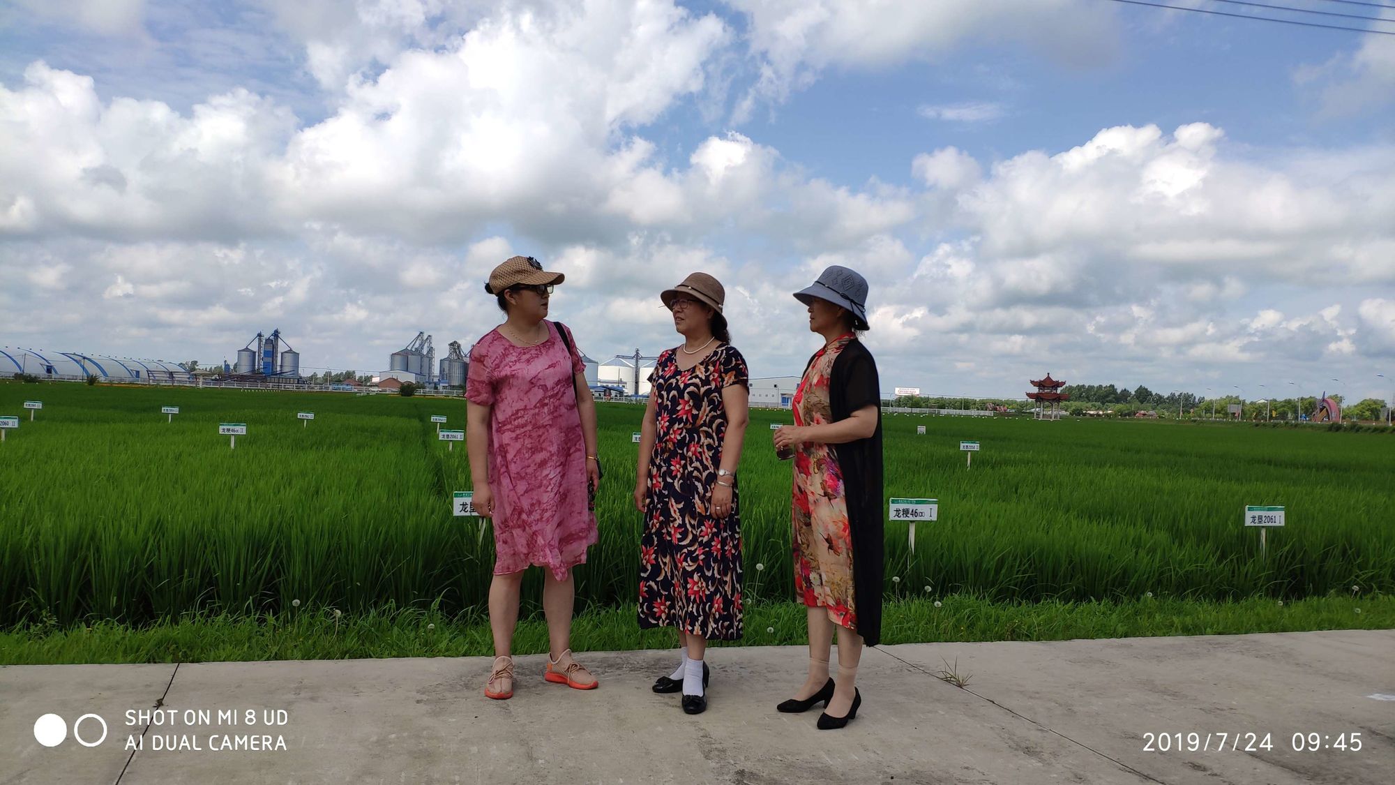 村庄游戏攻略_村庄建设类手机游戏_村庄的手机游戏