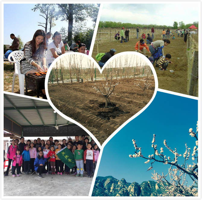 村庄建设类手机游戏_村庄游戏攻略_村庄的手机游戏