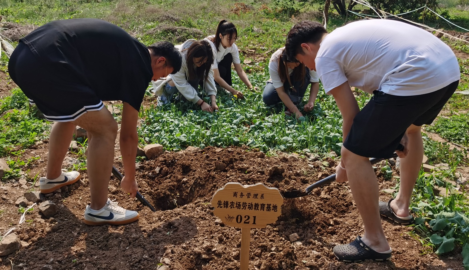 村庄游戏攻略_村庄建设类手机游戏_村庄的手机游戏