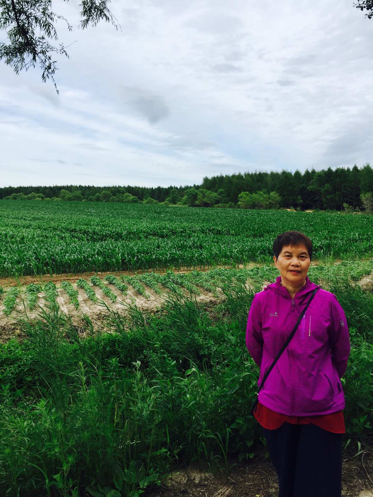 村庄的手机游戏_村庄建设类手机游戏_村庄游戏攻略