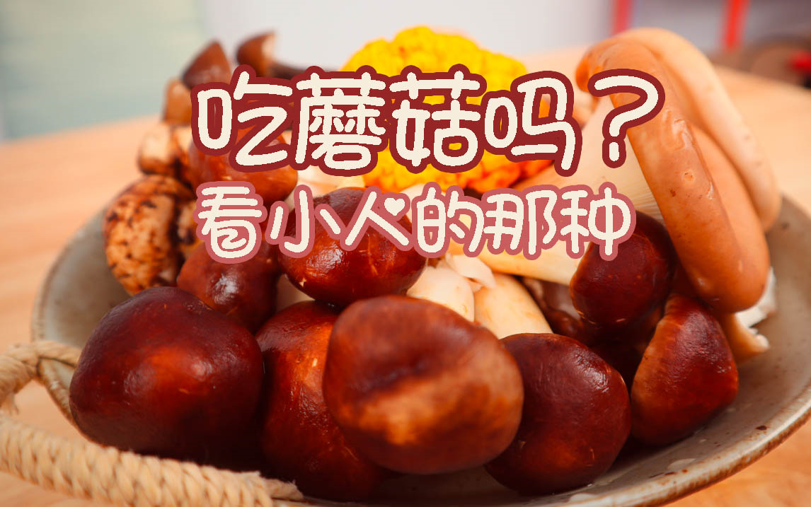 吃蘑菇的手机游戏-奇幻冒险评测：蘑菇小人的吃货之旅