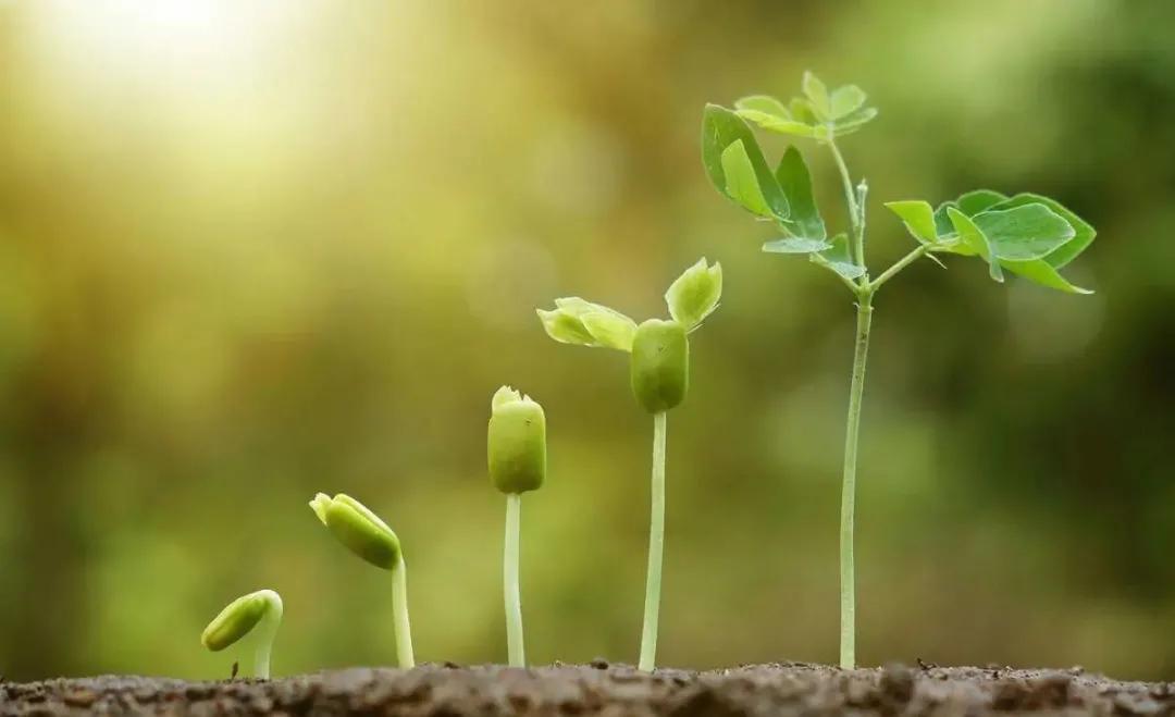 手机游戏平台_everything手机游戏_手机游戏手游