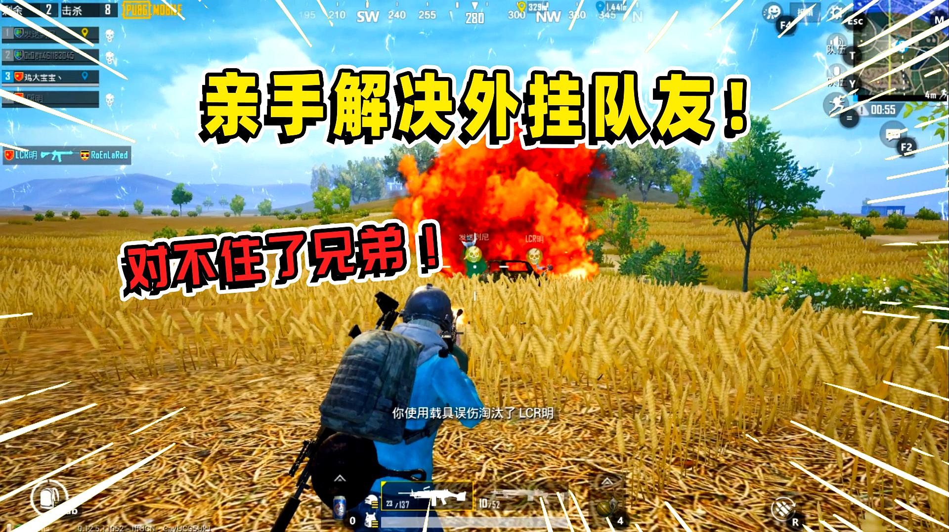 鸡吃食视频大全_经典吃鸡视频_吃鸡视频游戏下载手机版