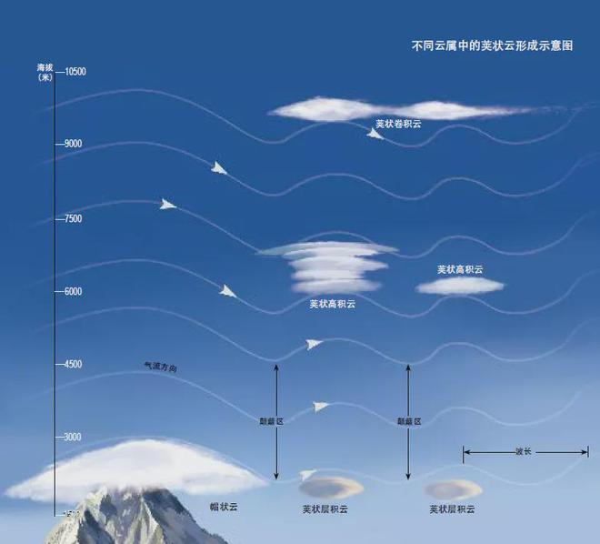 高原反应模拟器_高原反应游戏手机_高原反应攻略