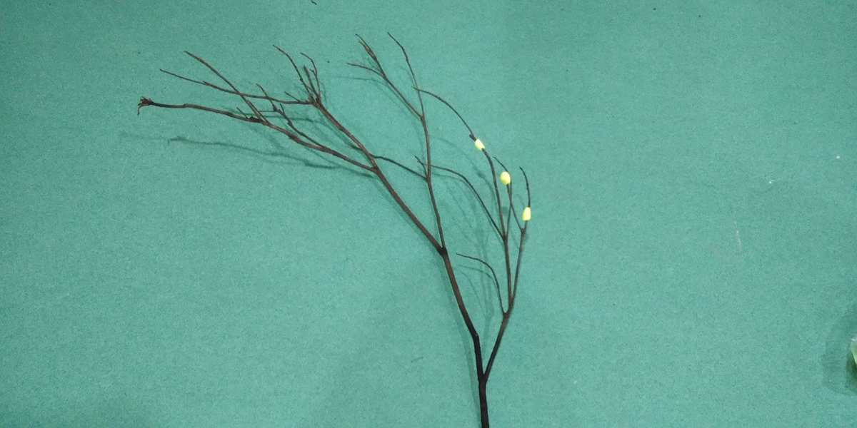 说说玩儿子手机游戏的句子_把手机给儿子玩游戏的说说_说说玩儿子手机游戏的话