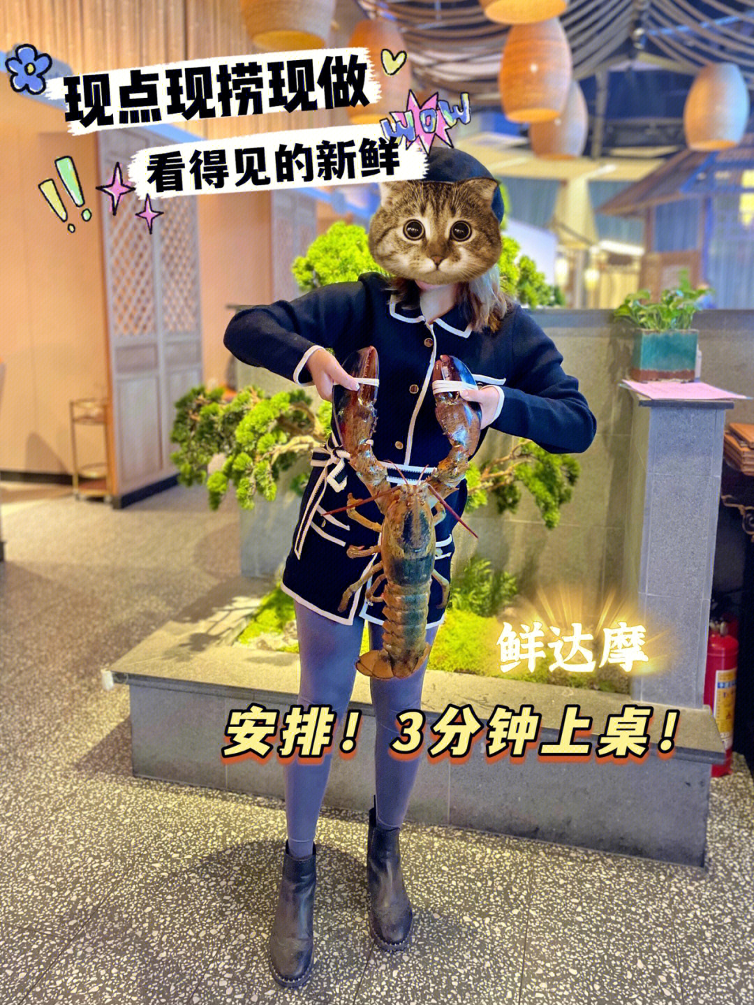 我想看波士顿龙虾_波士顿龙虾游戏下载手机版_快玩游戏盒手机版下载