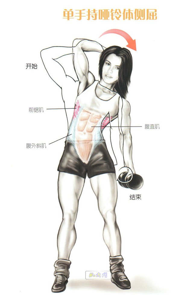 肌肉男变身模拟器_视频变身肌肉男手机游戏大全_变身肌肉男手机游戏视频