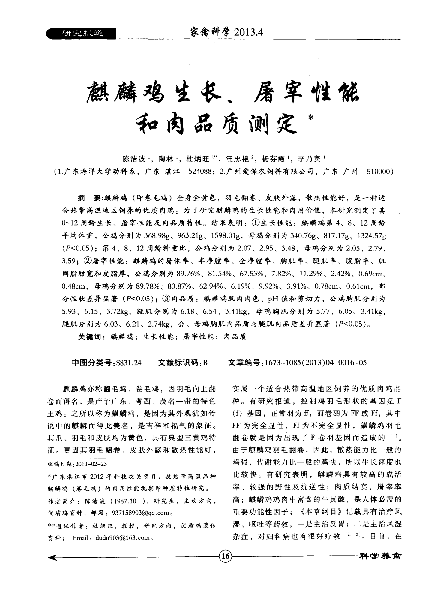 一款鸡的游戏_吃鸡游戏用哪部手机好一点_可以吃鸡的手游