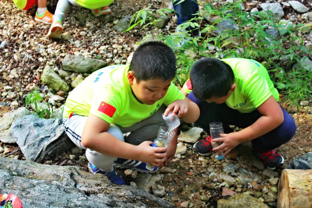 大型手机废土游戏推荐_安卓废土游戏_大型手机废土游戏