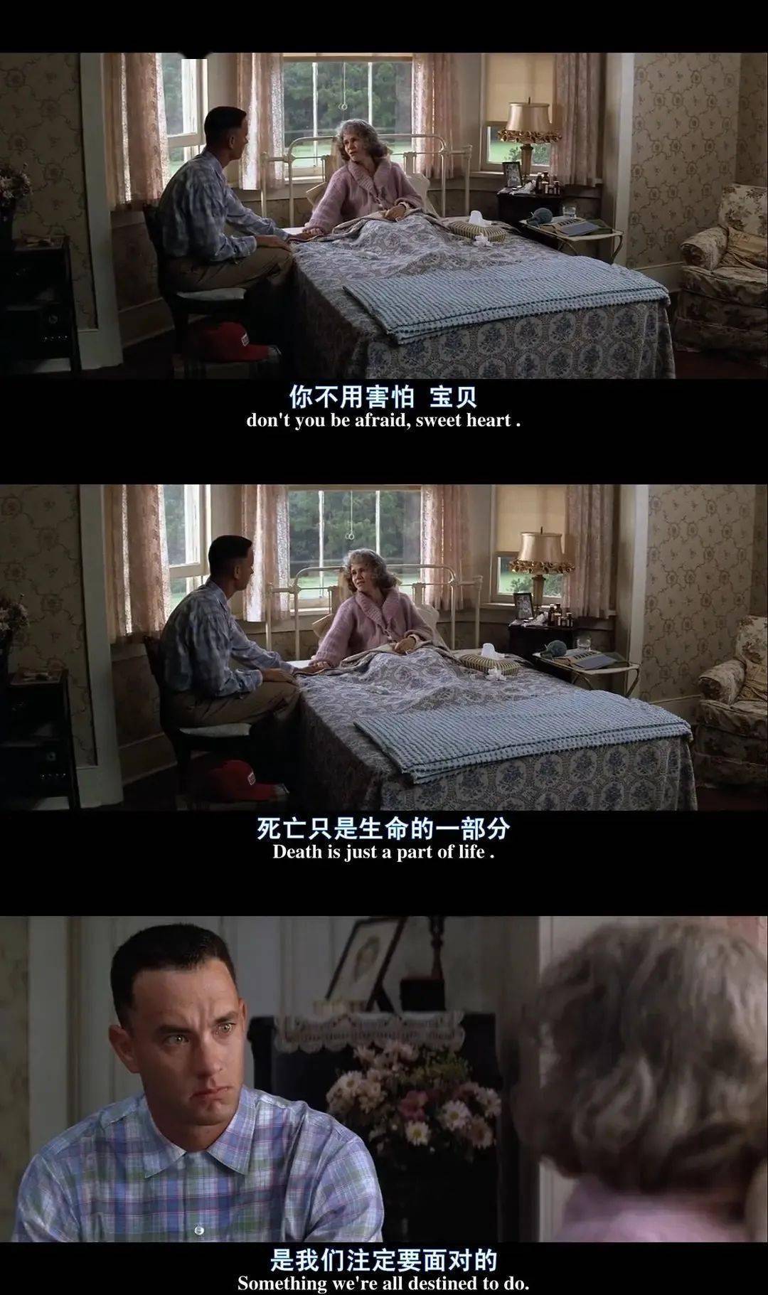 阿甘正传免费观看双语字幕_免费观看阿甘正传电影双语版_阿甘正传双语字幕在线观看