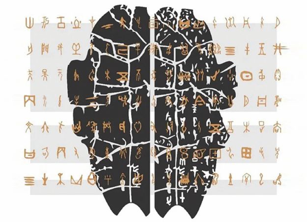 单词开头最多的字母_dic开头的单词_单词开头用不用大写