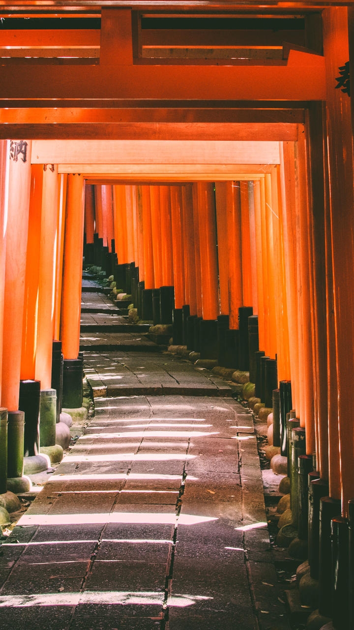建御雷神兽_建御雷神_建御雷