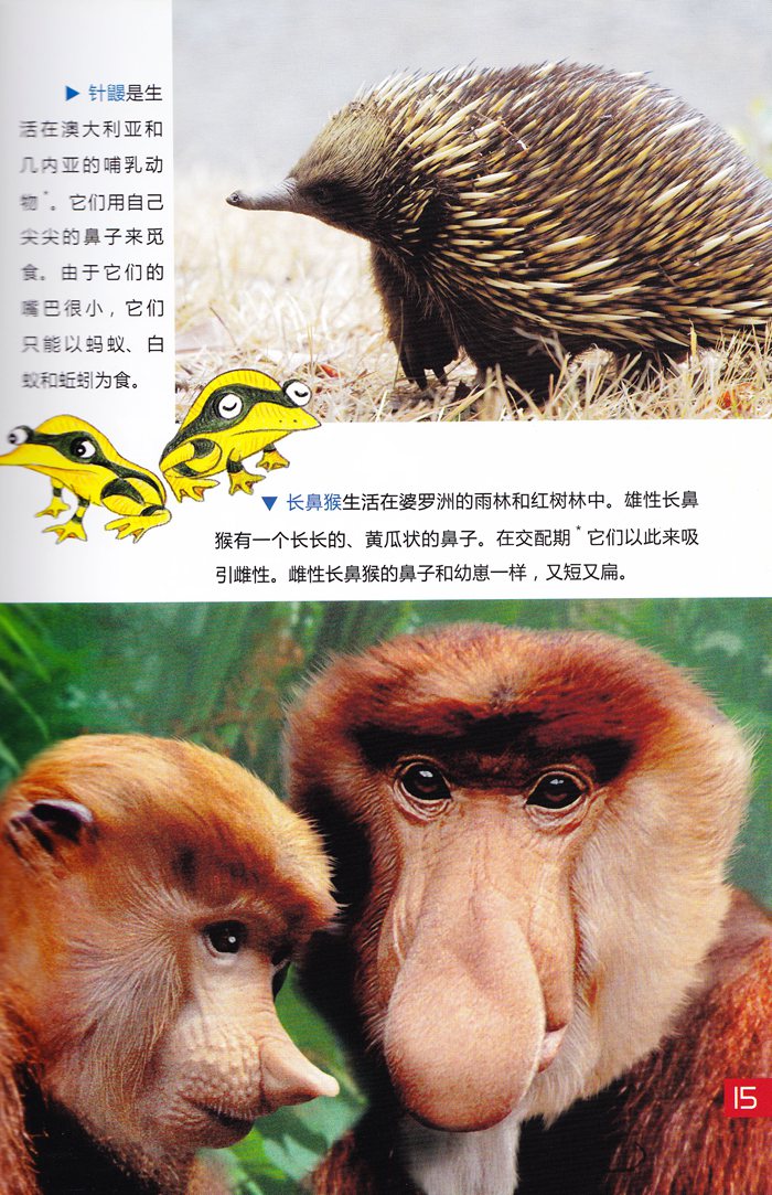 打动物手机游戏推荐_打动物手机游戏有哪些_打动物手机游戏