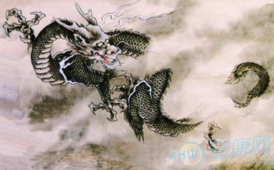 水龙_水龙兽_水龙兽