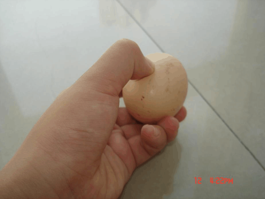 打鸡蛋游戏手机_鸡蛋游戏软件_打鸡蛋小游戏