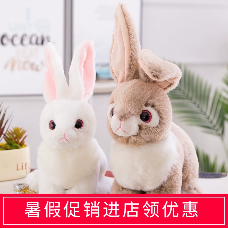 小小兔_小兔小兔蹦蹦跳小羊小羊咩咩叫_小兔小喵