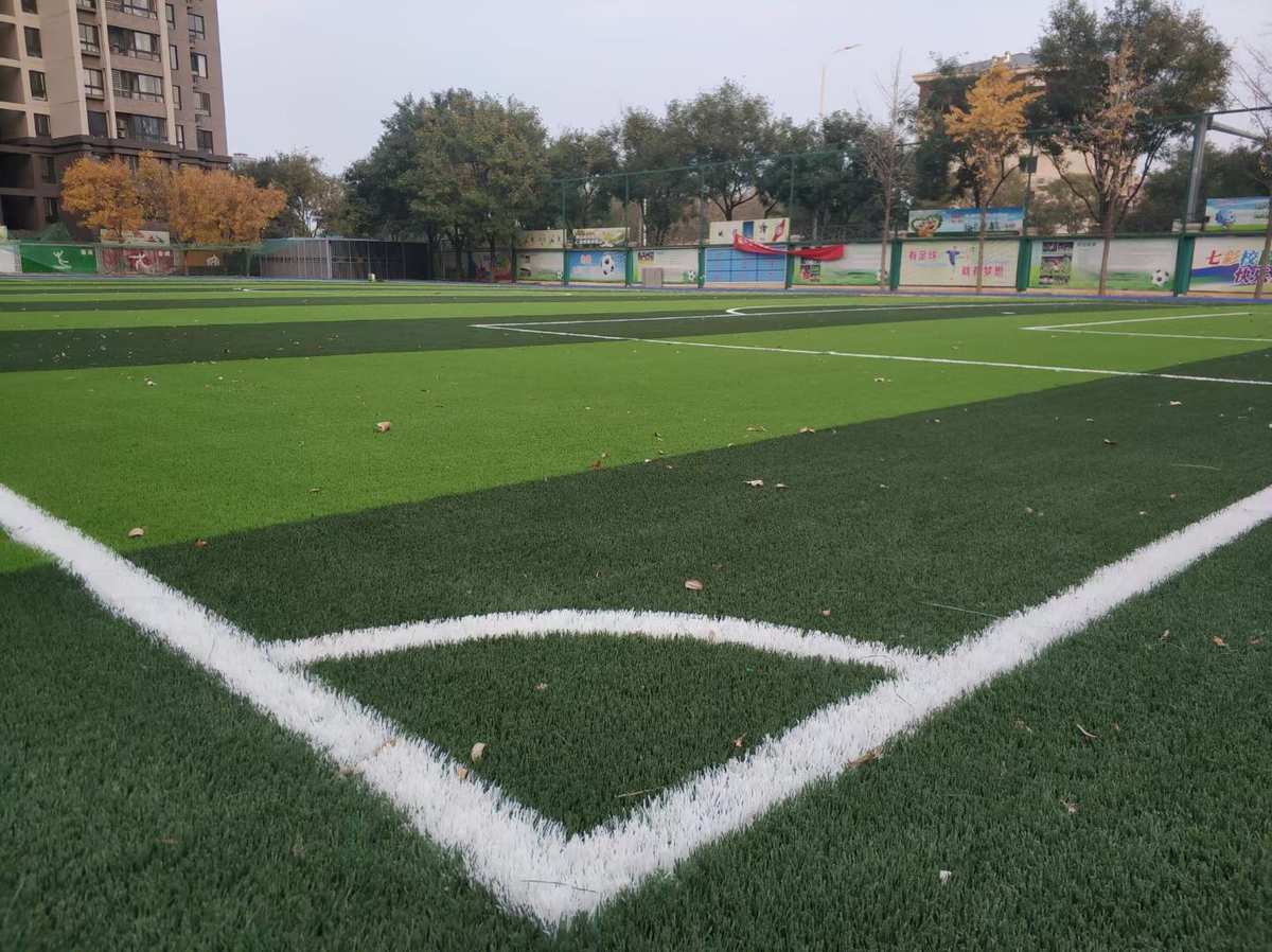 最后的波纹_波纹是谁_波纹最后一句说了什么