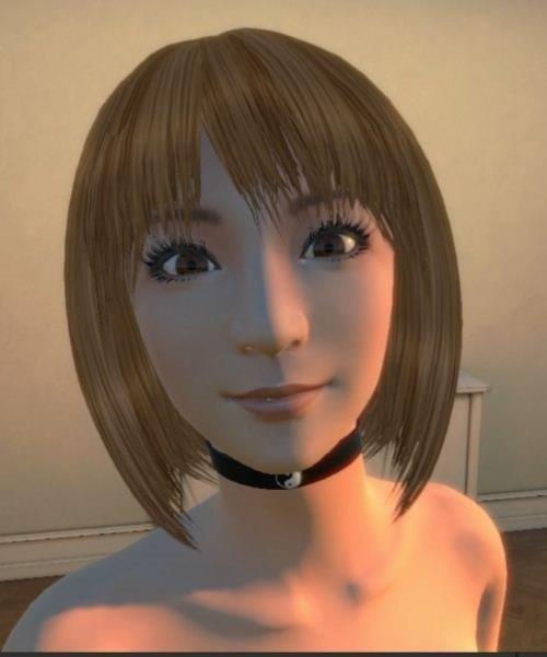 3d定制女仆2安卓移植版_3d定制女仆汉化安卓_定制女仆安卓手机游戏