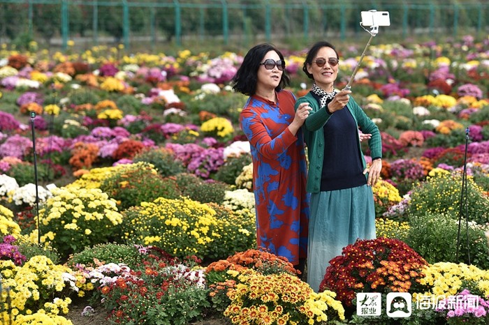 风俗重阳节的风俗_重阳节风俗是_重阳节有什么风俗