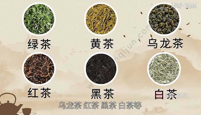 茶叶分类游戏手机_关于茶叶的小游戏_茶叶游戏规则