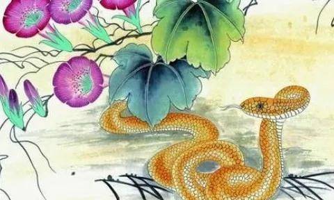生肖蛇月份出生最好_生肖蛇哪个月出生好日历网_属蛇的几月出生最好