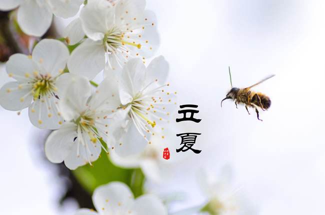立夏故事_立夏故事_立夏故事