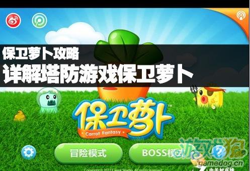 萝卜保卫攻略_下载萝卜保卫单机_保卫萝卜手机游戏