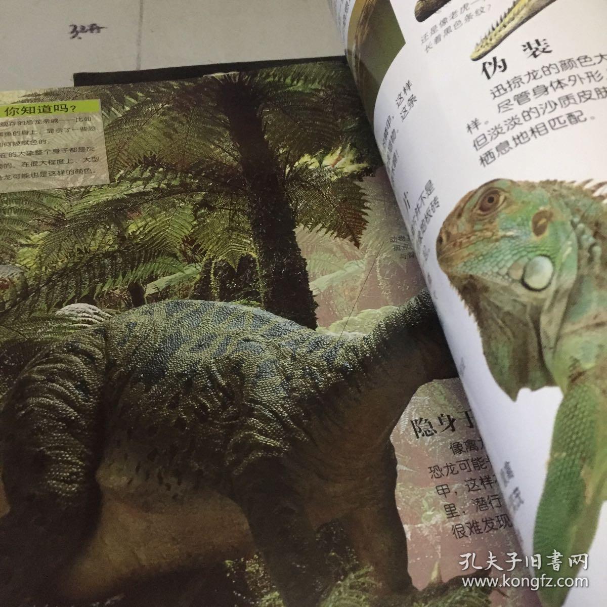 用手机玩的vr游戏_能用手机玩的vr游戏_vr哪些游戏能在手机上玩