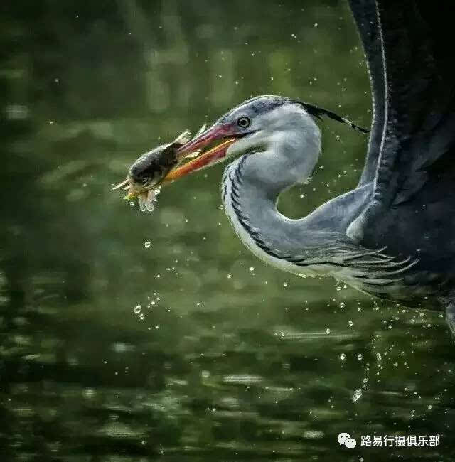 用手机蹦迪_蹦迪拍照姿势_蹦迪游戏手机拍照
