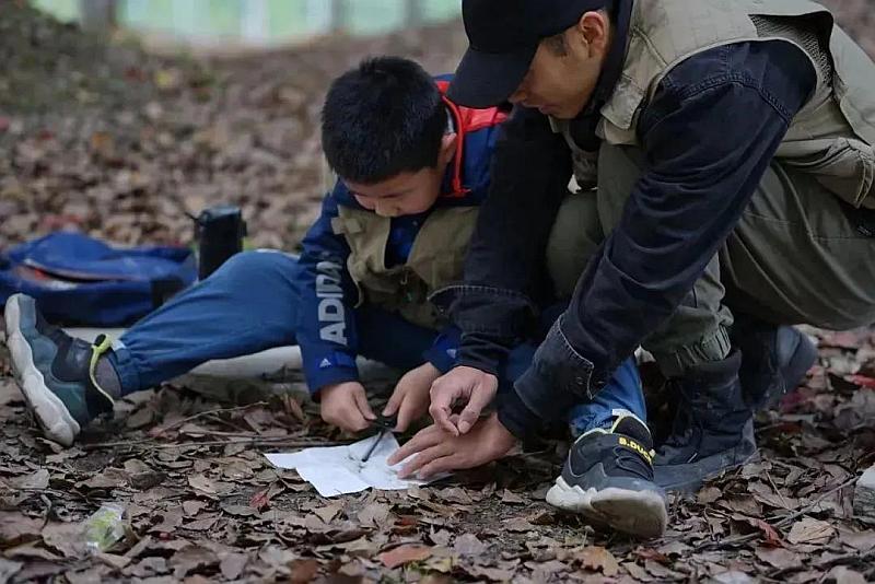 单机生存手机游戏有哪些_单机生存游戏手机版_单机生存版手机游戏推荐