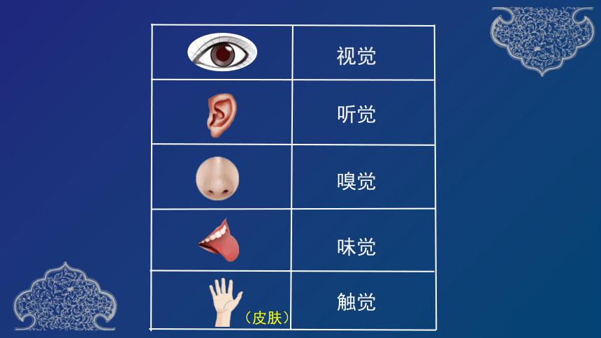 闭着眼睛玩的手机游戏_闭着眼睛玩手机游戏好吗_闭着眼睛玩手机游戏的危害