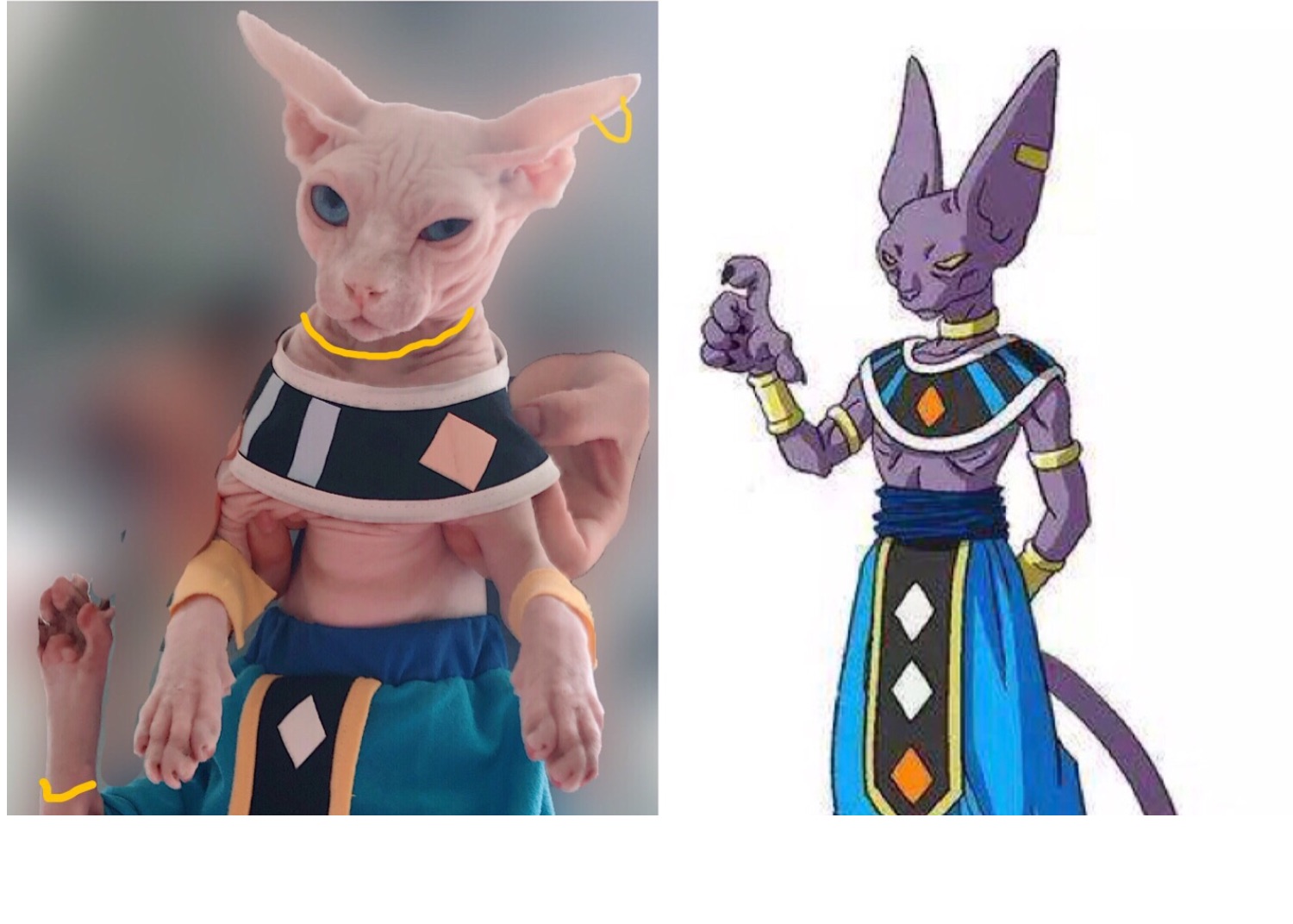 猫神大人与七颗星星_星星猫猫_猫神大人与七颗星星模拟器