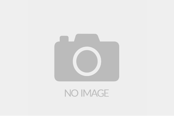 苹果12promax什么颜色好看_12promax最好看颜色_苹果12promax什么颜色好看