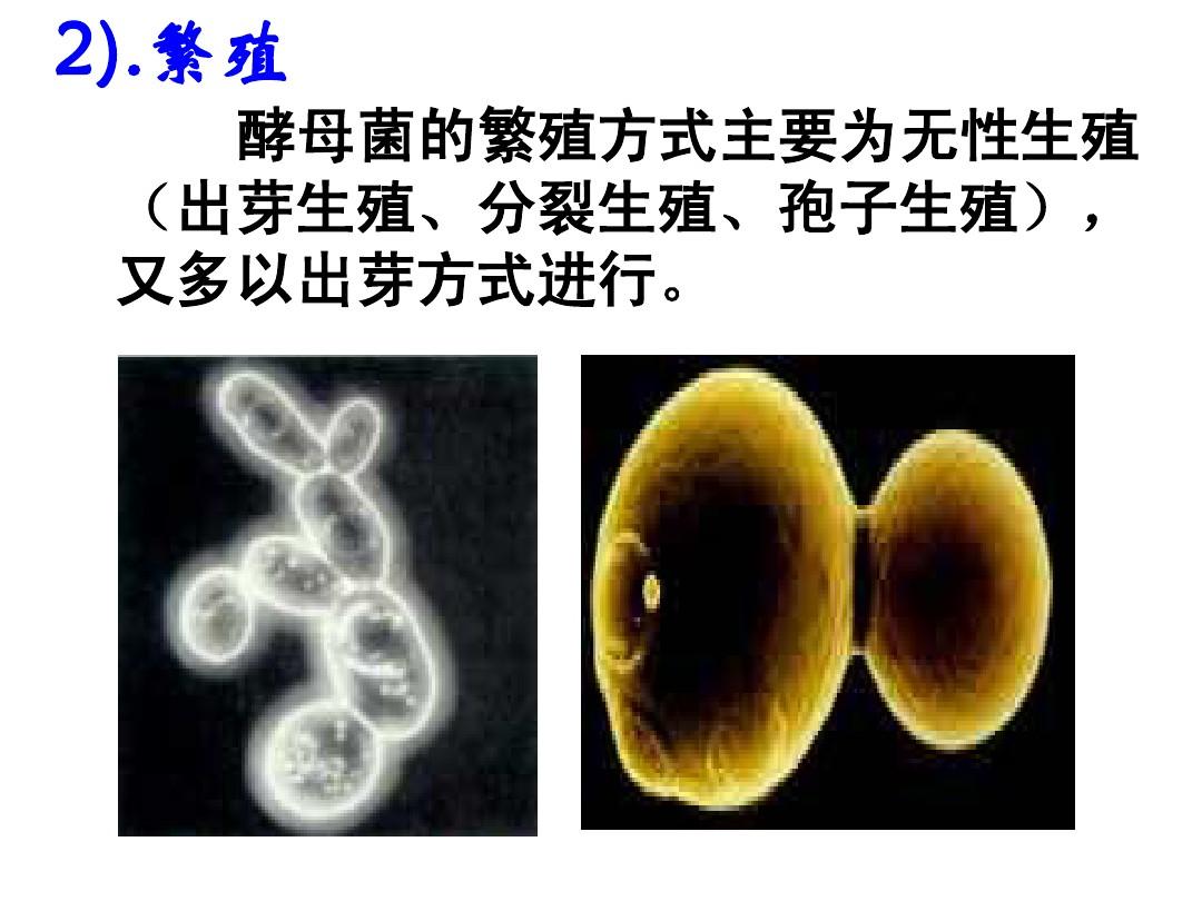 孢子战争破解版下载_孢子战争手机游戏_孢子手机游戏 战略